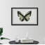 Vert forêt-papillon-impression sur papier-62471575