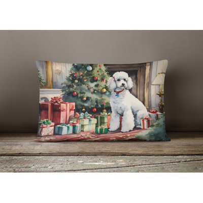  Other/No Pattern Throw Pillow