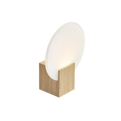 Hester Plastic LED Flush Mounted Sconce