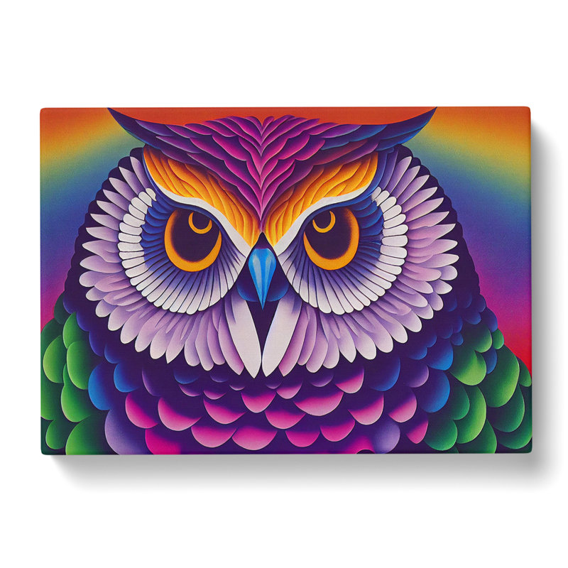 Colourful Owl Art Vol.4 - Wrapped Canvas, 35cm H x 50cm W x 3cm D