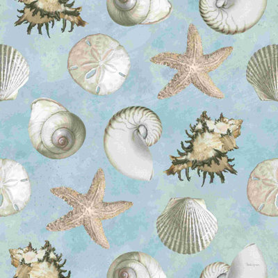 Coquille de sable, coquille bleue