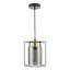 1 - Light Matte Black Caged Pendant