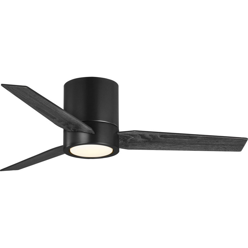 Ventilateur de plafond standard à DEL à 3 pales de 44 po avec télécommande et ensemble d'éclairage Reyka, Noir