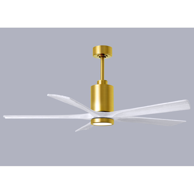 Patricia LED Downrod Ceiling Fan, Matte White, Brushed Brass