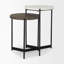 Ivelisse Nesting End Table-1273719474