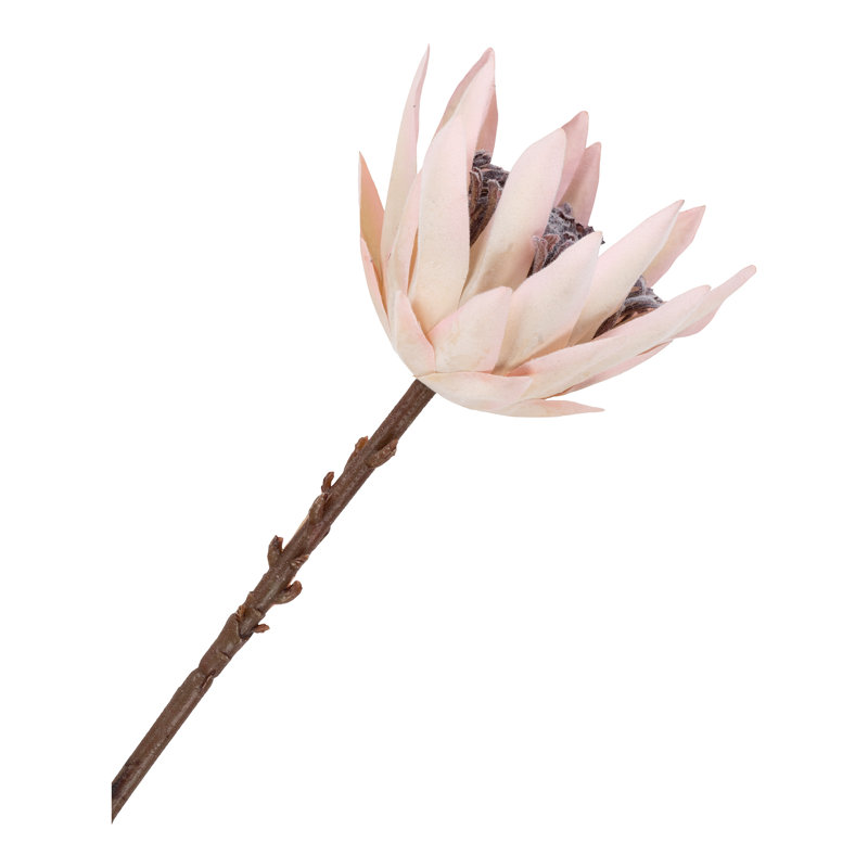 Protea Arrangement
