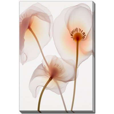 Art sur toile translucide jaune coquelicot II