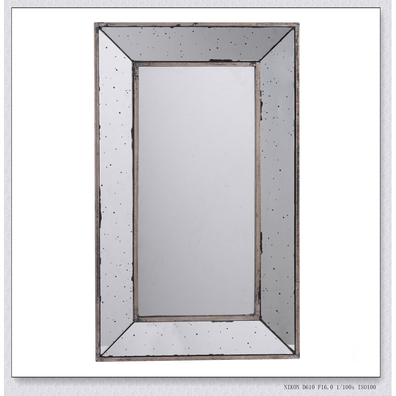 Miroir mural ou plateau décoratif traditionnel 16,5 x 24 po