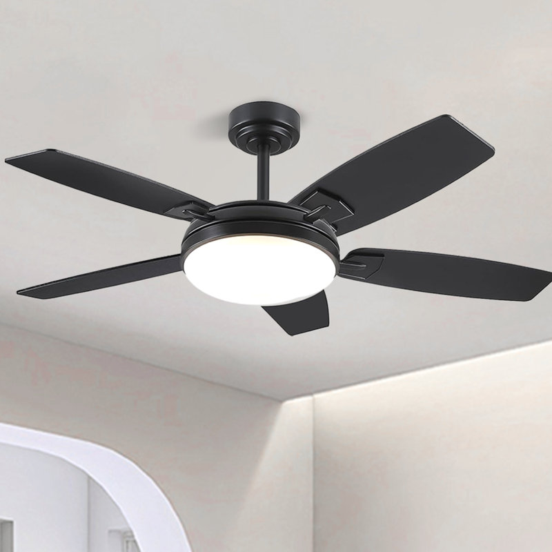 Ventilateurs de plafond de 52 pouces avec lumières et télécommande, Noir