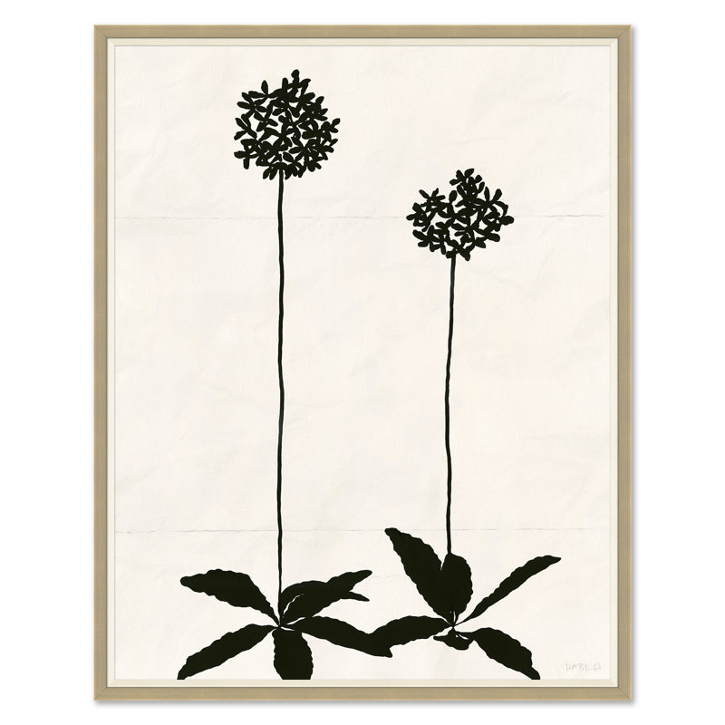 Allium (var. 2) Print by Susan Hable, 54" H x 43" W, Silver