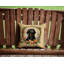 Coussin décoratif-1963509926