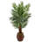 60'' Faux Palm Tree in Wood Planter