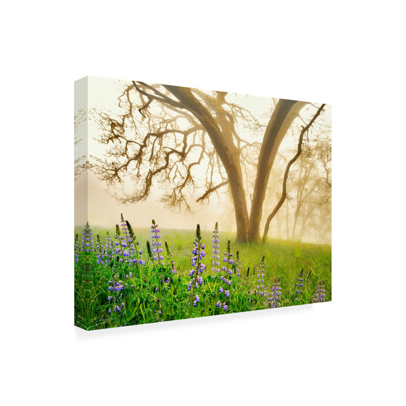 Art mural sur toile tendue - "Lupins sous la pluie et brouillard" de Dennis Frates pour décoration de salon, de chambre à coucher ou de bureau - 24 x 32