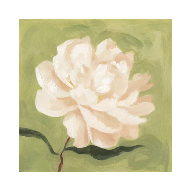 Peony On Olive I by Emma Scarvey - Wrapped Canvas Painting, 30.48 cm H x 30.48 cm W