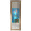 Aquetzalli Display Cabinet-1345274515