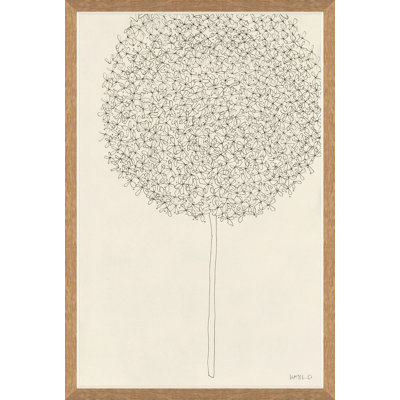 Allium I by Susan Hable