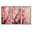 Cherry Blossoms Dark Pink Collage-8374585-8374586