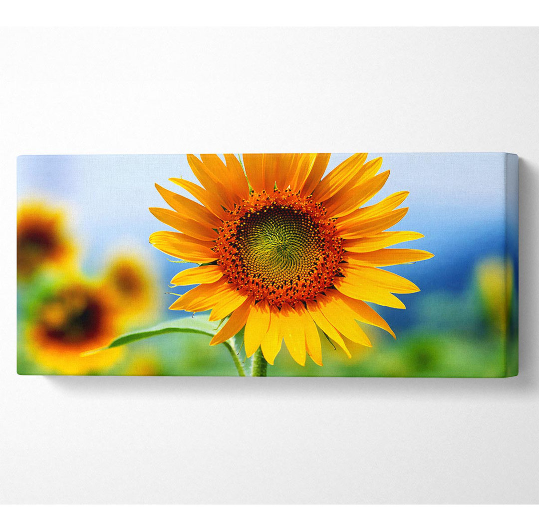 Morning Sunflower - Kunstdrucke auf Leinwand