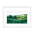 White Framed Paper selected