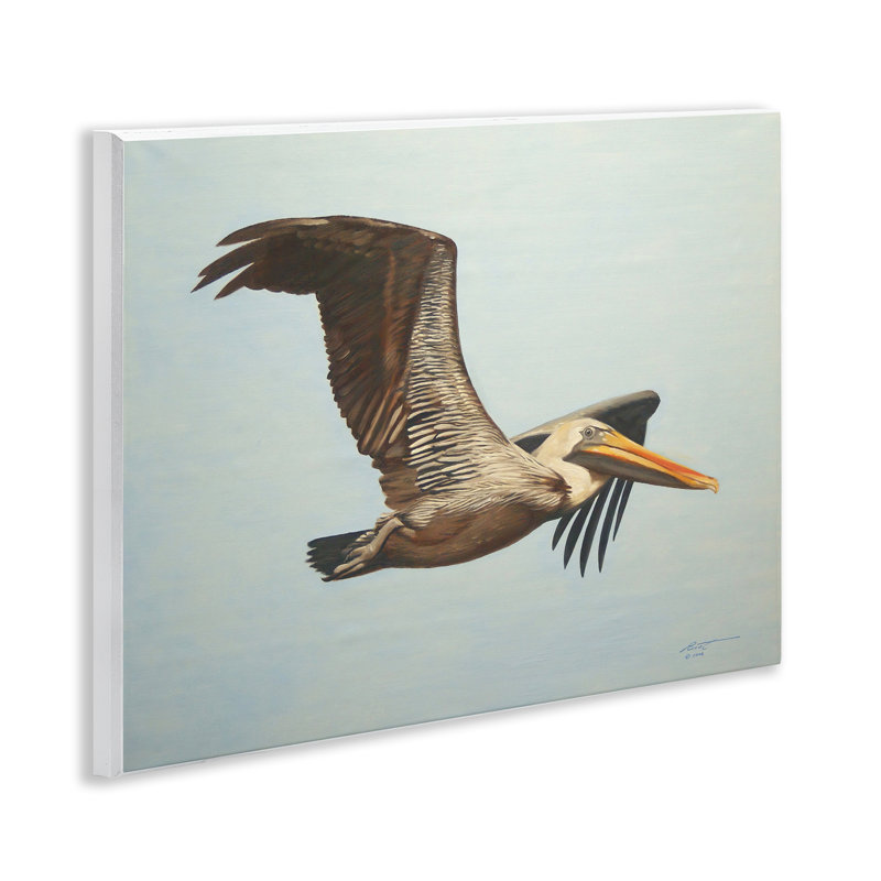Pélican brun en vol, art mural par D. Rust