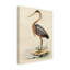 «Antique Heron II» par World Art Group, reproduction d'art graphique sur toile-33521949