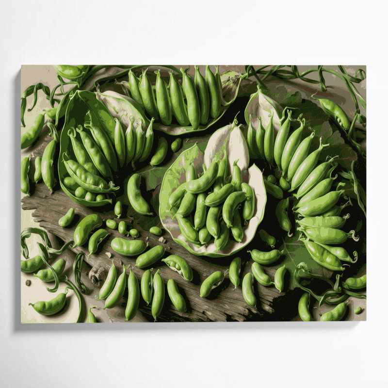 Légumes, fava, haricots, art mural sur toile verte, H 20 po x l 24 po