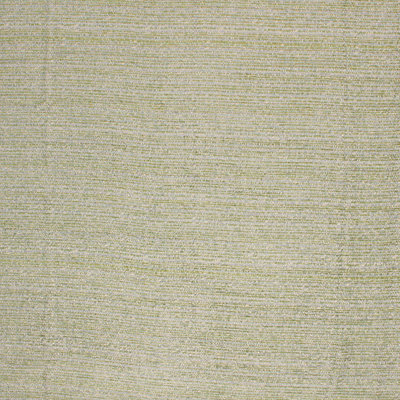 Prive Fabric