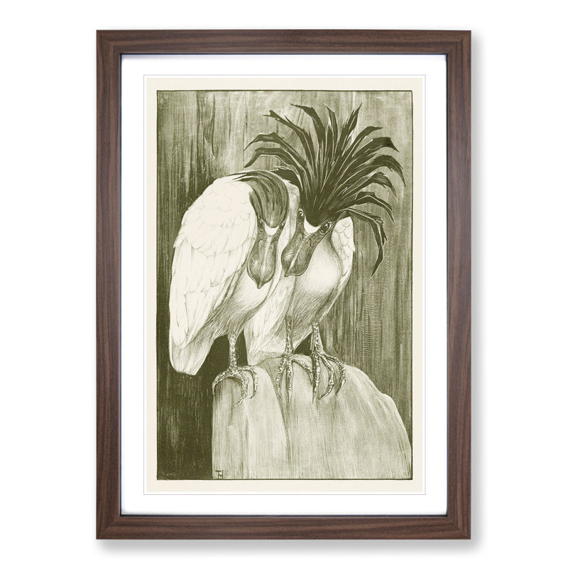 Two Barge Herons by Theo Van Hoytema - Framed Print, Walnut Framed, 65cm H x 48cm W x 2cm D