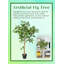 Ficus artificiel en pot 54 "