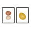 No. 183 & 192, Set Of 2 Print by Katy Montica-126885170-126885177