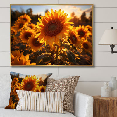 Tournesols orange et tournesols éclairés II