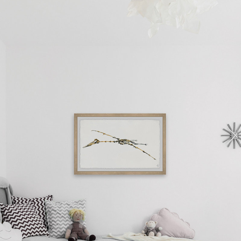 Dylan Pterodactyl Skeleton - Single Picture Frame Painting, 41cm H x 61cm W
