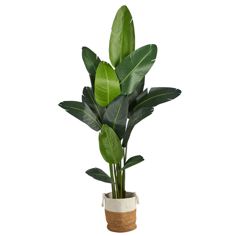 7ft. Artificial Travellers Palm Tree with Handmade Jute & Cotton Basket