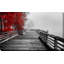 " Fall Walkway " by Vladimir Kostka-1860965027-1860965026