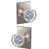 Polished Nickel