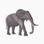 African Elephant Hand Towel