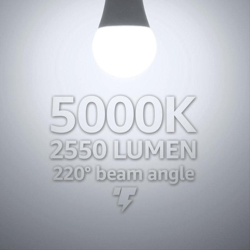 Ampoules DEL A21, IRC 80+, à intensité variable, 22 W (équivalent à 150 W), 2550 lumens, lumière du jour 5000K