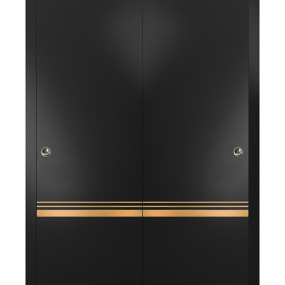 Panelled Wood Finish Sliding Closet Doors