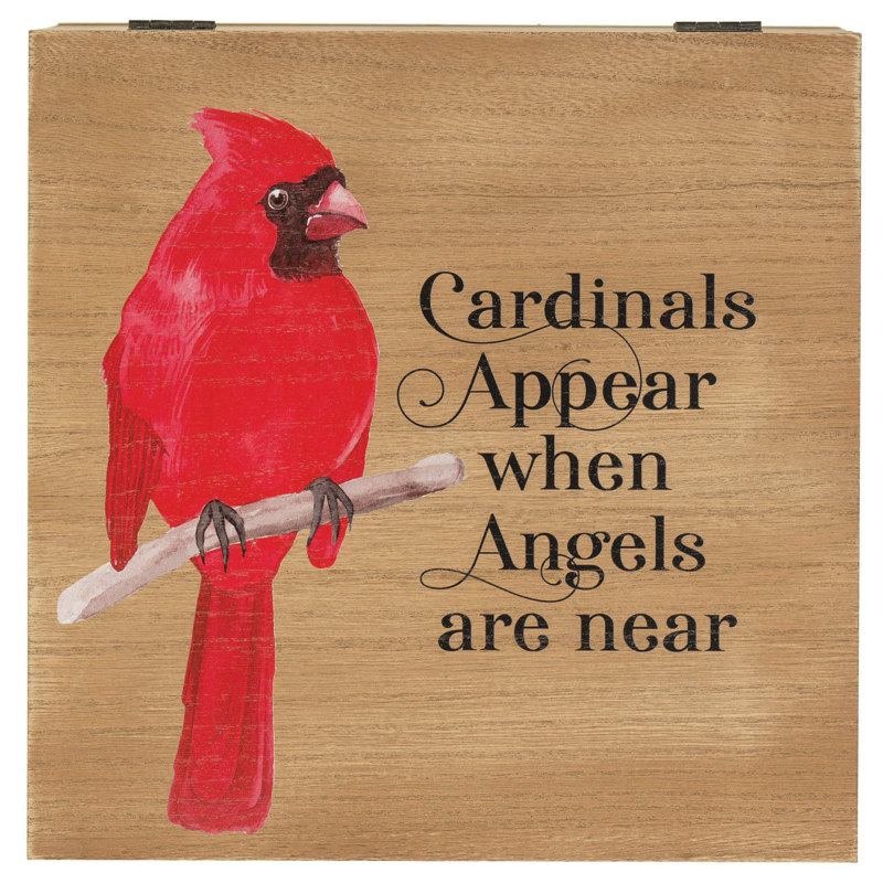 Cardinals Appear Angel