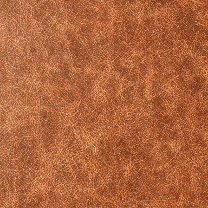 Dolton Top Grain Leather Arm Chair