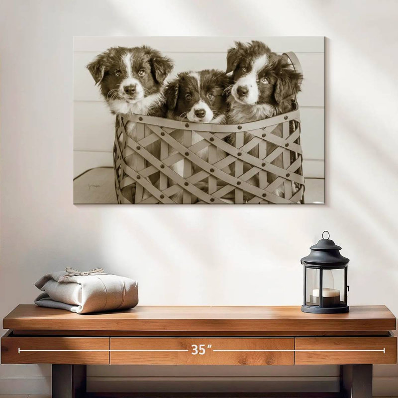 Brampt What A Cute Bundle, 8" H x 12" W