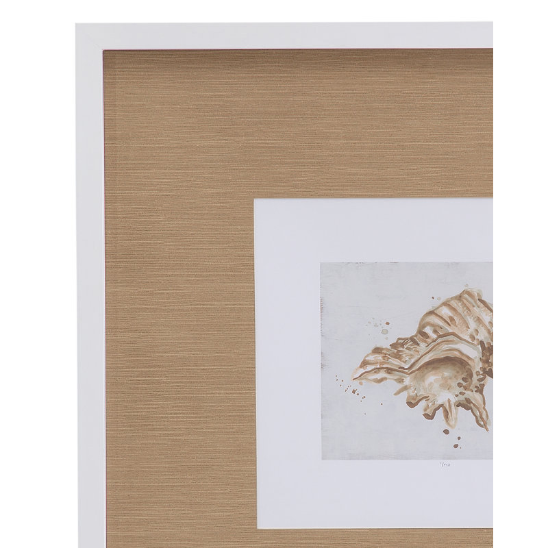 Neutral Shell Fresco III Framed Print
