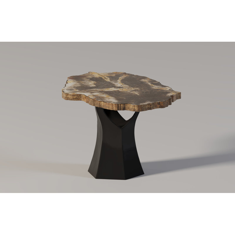 Arboresce Petrified Wood Mini Coffee Table