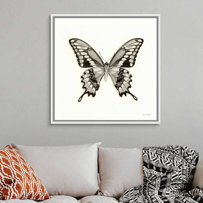 «Butterfly VI Black and White» par Van Swearingen Debra - reproduction d'art sur toile, Toile blanche encadrée