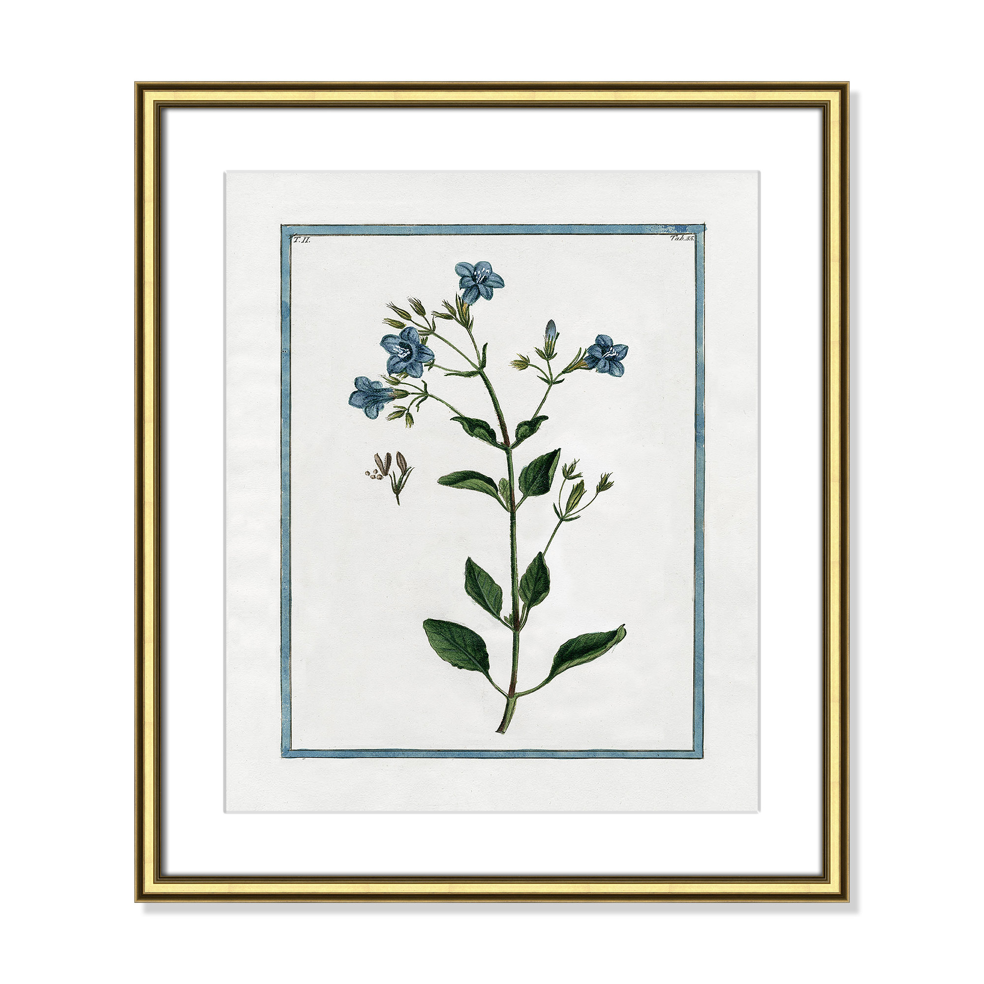 Shabby Elegance Botanical II - Framed Art, 17.25" W x 20.25" H, Gold Framed