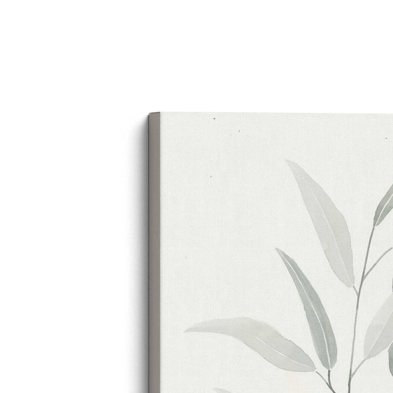 «Sage Leaves I» par Dogwood Portfolio, reproduction d'art, Toile non encadrée, L 36 x H 48, Ne s’applique pas