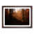 Walnut Framed selected