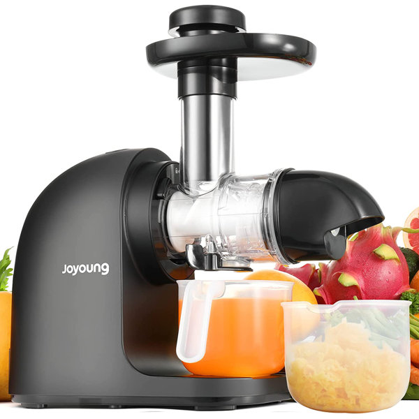 Eleoption Slow Masticating Juicer & Cold Press Juicer