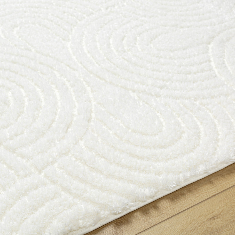 Carollyn Nomadic Machine Woven Polyester Area Rug in White, Rectangle 7'10" x 10'