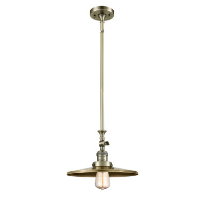 Rouvin Single Light Metal Dimmable Pendant